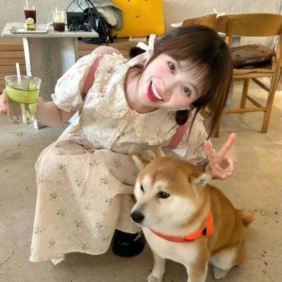 伊娜:初生之犊 封面